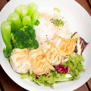 Klassik Jiaozi Bowl
