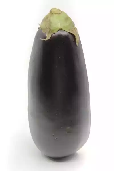 Aubergine 茄子