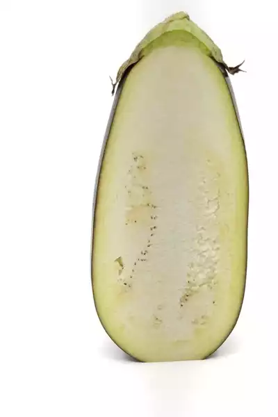 Aubergine 茄子