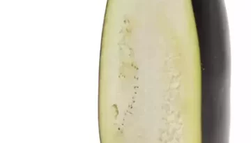 Aubergine