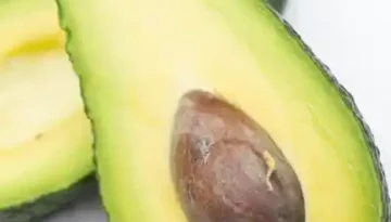 Avocado 鱷梨