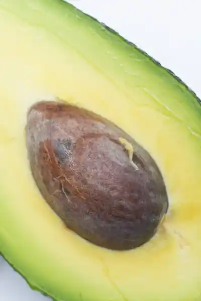 Avocado 鱷梨
