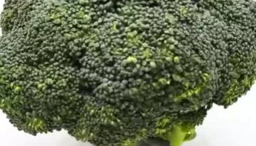 Brokkoli