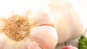 Knoblauch 蒜頭