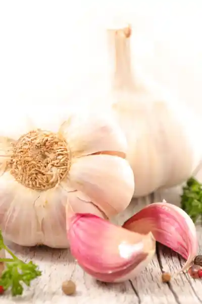 Knoblauch 蒜頭