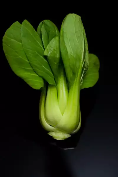 Pak Choi 小白菜