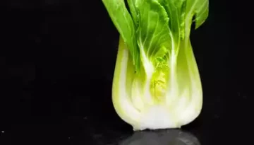 Pak Choi 小白菜