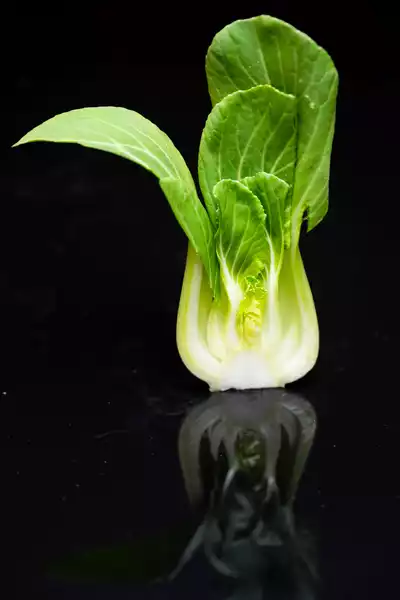 Pak Choi 小白菜