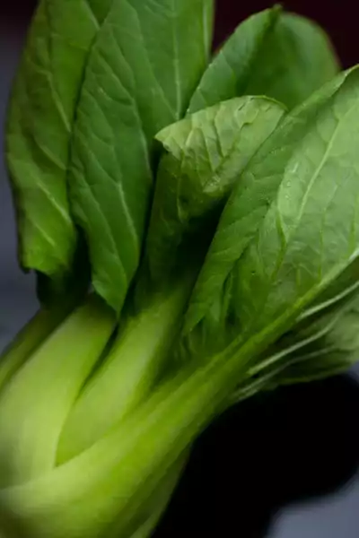 Pak Choi 小白菜