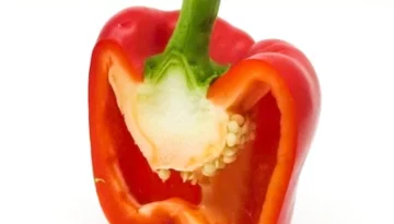 Paprika 辣椒