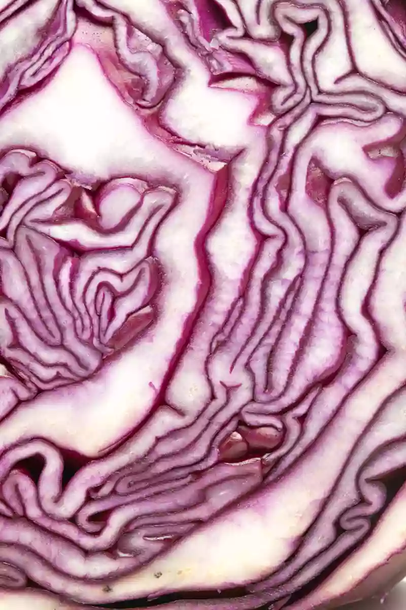 Rotkohl