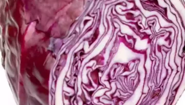 Rotkohl