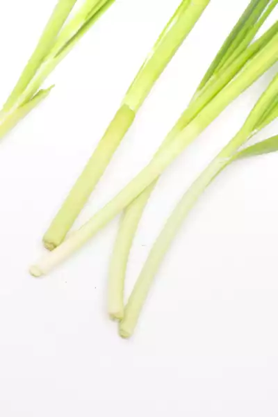 Schnittknoblauch 韭菜