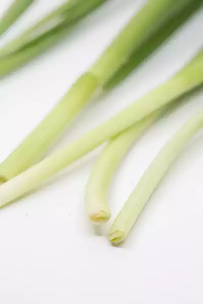 Schnittknoblauch 韭菜