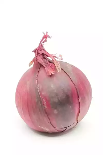 Zwiebel